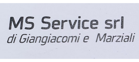 Ms Service srl